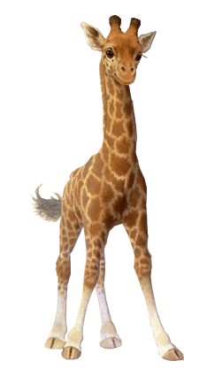 5417316