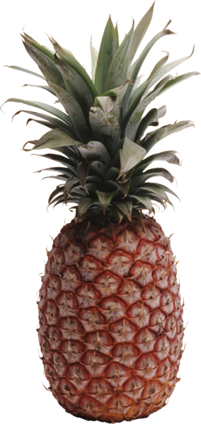 pineapple_28