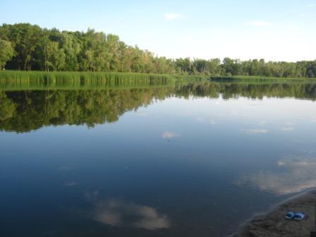 Изображение 072