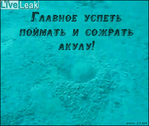 тронуть2