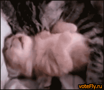 ne_boisya_yapfiles.ru