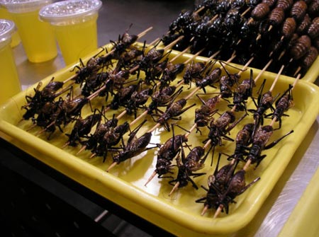 beijing_snacksonsticks_crickets