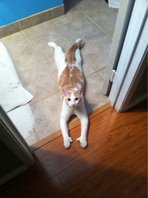 tumblr_m5cvh7cKZ01qjnhqgo1_1280