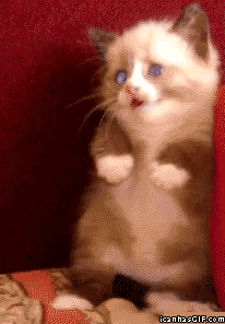 6d635076d26ee38e02e8be2e7c56307e