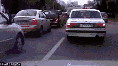 funny-gifs-crossing-the-road-like-a-boss