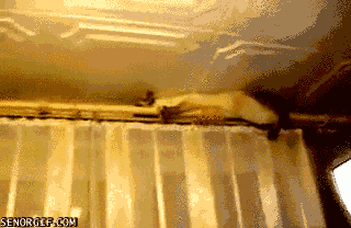 funny-gifs-mission-impossible-kitty