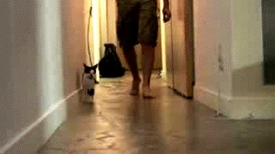 fqqkq8jc60crevgipg-ggw2