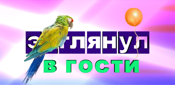Безимени-1попугай