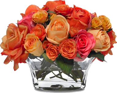 rose(1)копирование