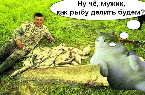 дел