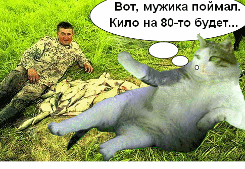 сом