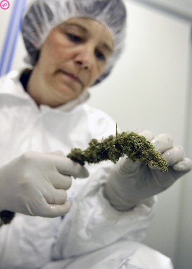 e0393830_ANP_2393318