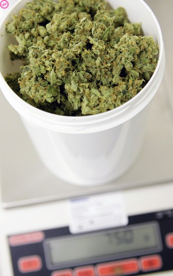 e0393830_ANP_2479966