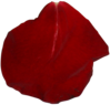 lepestok_2