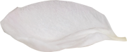 lepestok_9
