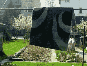 Hiddencarpetninja_yapfiles.ru