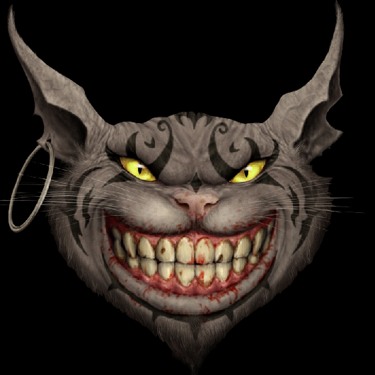 Grinsekatze2