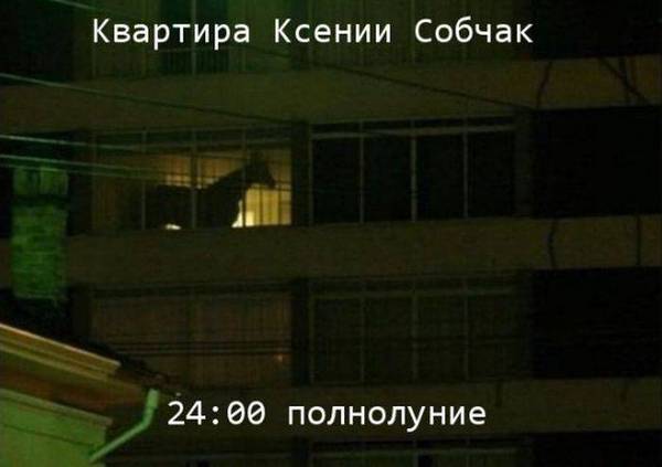 82117456737205_1341908864_01