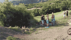 tumblr_lwklvlqgu51qfjjglo4_250
