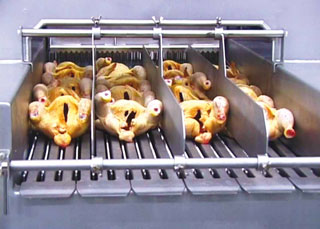 ansicht_huehnchen_injector