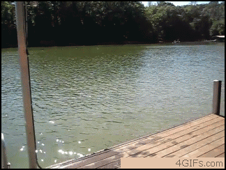 гифки-вода-собакэ-мужик-229370