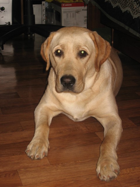 Изображение 045