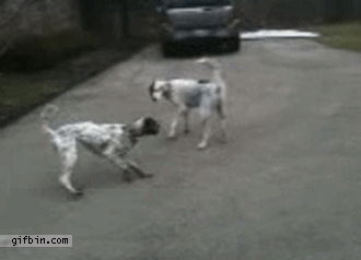 03c674ed7c829d22f19ce258664d2ad3a76dab30