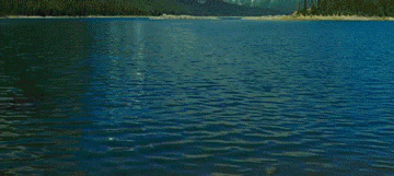 53590475547735_66-z_(7)