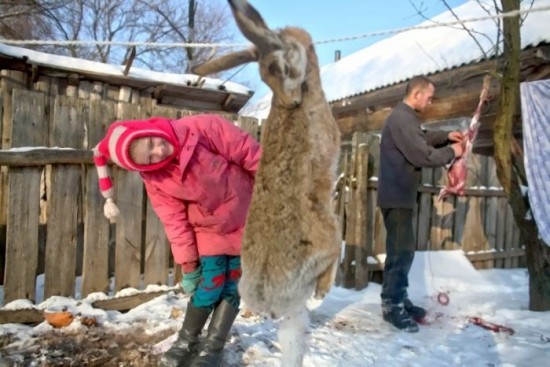 410959_canada_rossiya_15