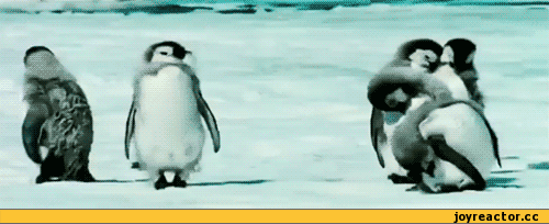 похуй-пляшем-гифки-52720