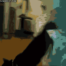 funnygifsgetinthetruckman