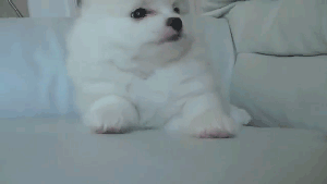 1310474053_1309162516_-231