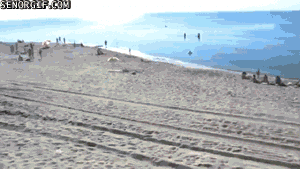 fuA0XuO6nkWGfIL7ul9evg2