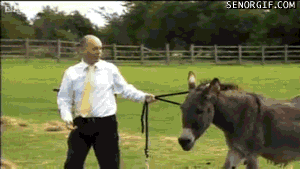 x1tdGvVkgUur8EpyLyBaqA2