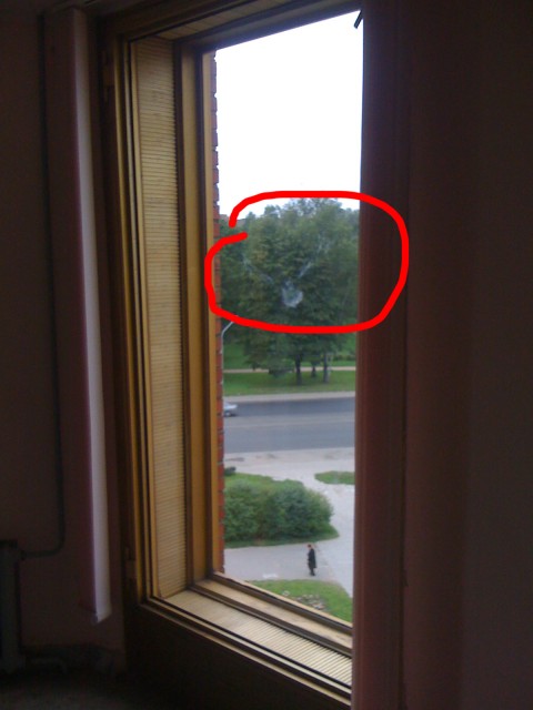 Изображение 003