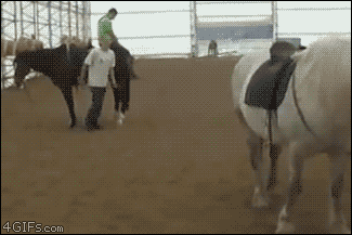 gifs_19