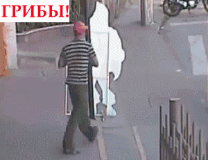 Грибы блеать