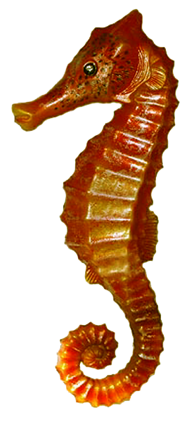 конек