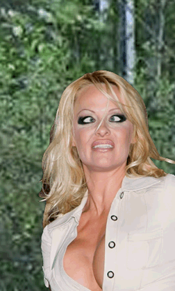 post-3-12302026341879t