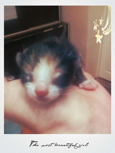 IMG_20120830_121526_Ian_Moonstar_Girlaroid