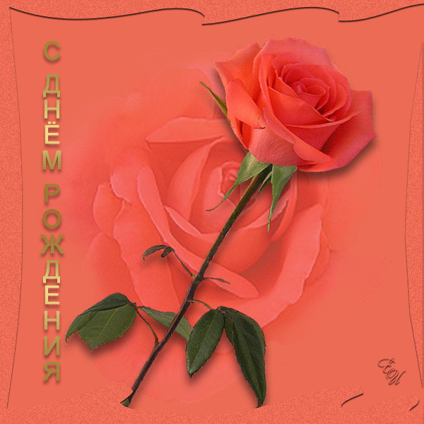 56022090_ee516003a3b3