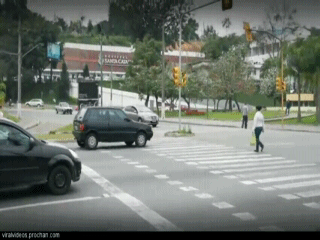 гифки-Зебра