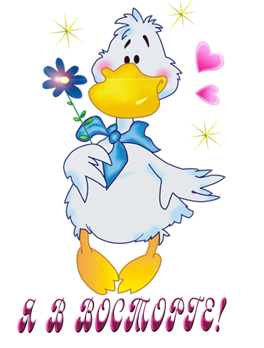 70809298_7436db29eb7a