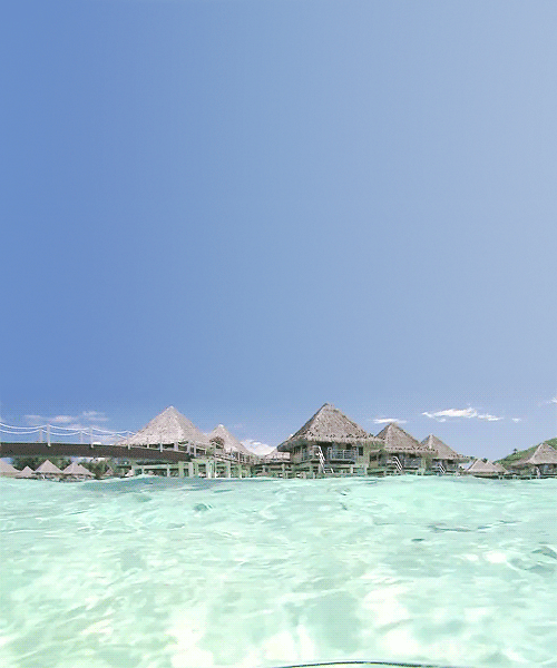 35730718573724_gifkimorerybkiokean338107