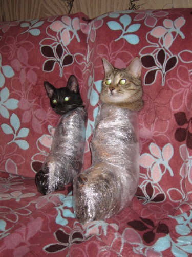 27459215210902ad0b78971e077f0e386b4c5ae94fe