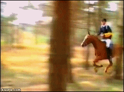 Jockey_horse_jump