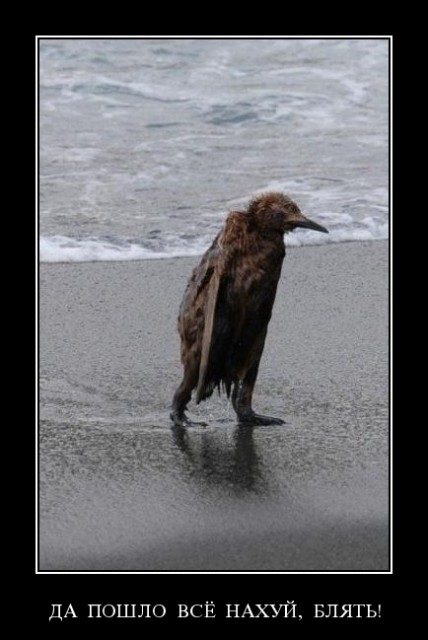 post-3-13470041776543