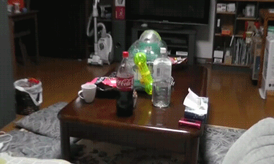 Fungif_08-1