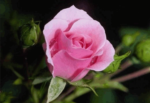 2012-09-23_221142