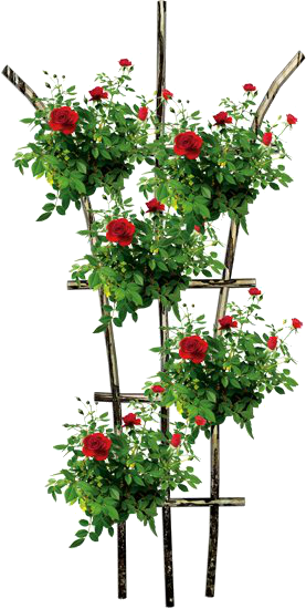 решотка с цветами